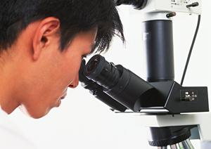 【2026年最新版】西宮で内視鏡検査を受けるなら知っておきたいポイントとおすすめ医療機関